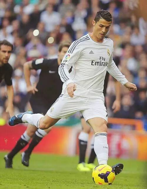 规赛还是季 规赛还是季